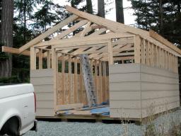 new shed - day 12